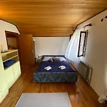 Chalet Sanmari_forest